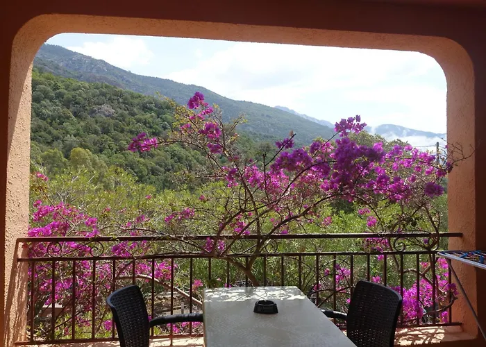 Cabanaccia 35m² By Interhome Διαμέρισμα Serriera (Corsica)