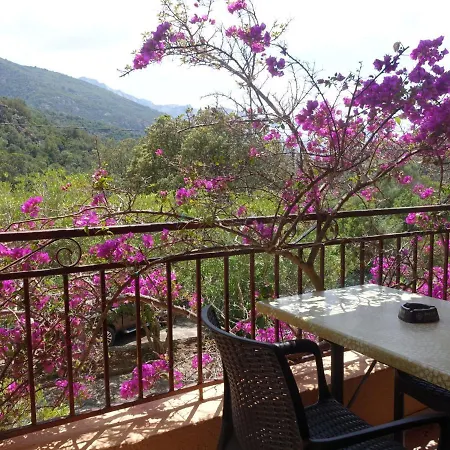 Διαμέρισμα Cabanaccia 35m² By Interhome *