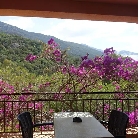 Cabannaccia-5 By Interhome Apartment Serriera (Corsica)