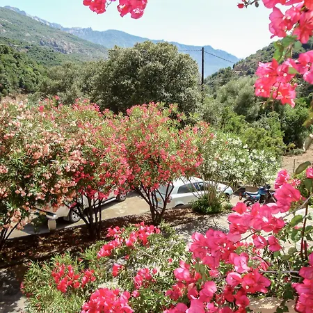 Cabanaccia 35m² By Interhome Apartment