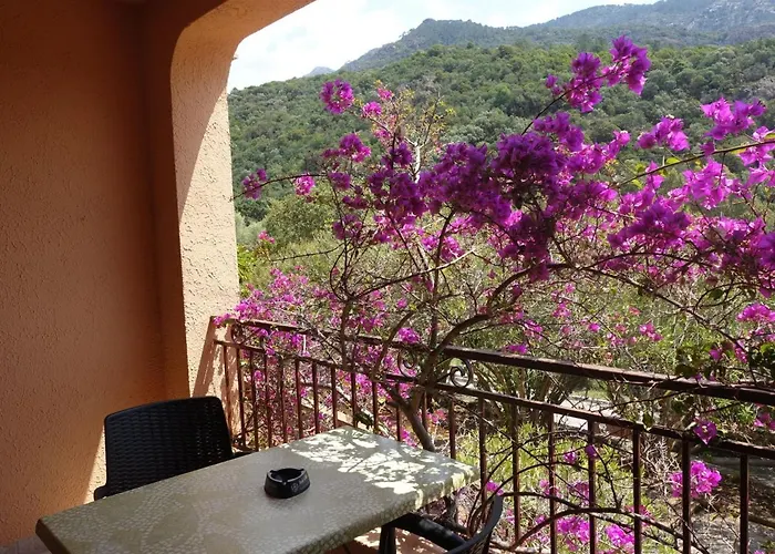 Appartement Cabanaccia 35m² By Interhome