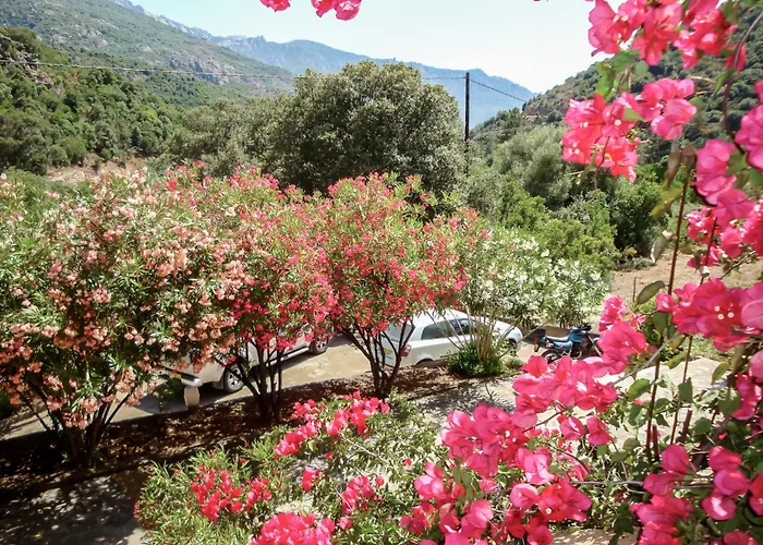 Cabanaccia 35m² By Interhome Appartement